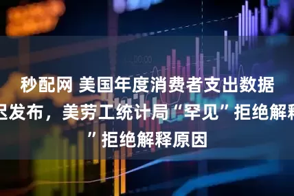 秒配网 美国年度消费者支出数据将推迟发布，美劳工统计局“罕见”拒绝解释原因