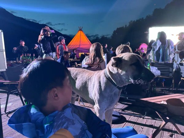 双盈策略 环球旅行的意义